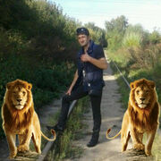 ���������� ������, ���� ������� ����, 36 ���, ������������ ��� ������, ����� � ���������