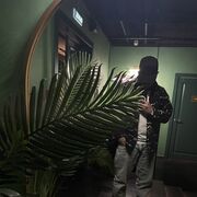 ���������� ���, ���� ������� �����, 28 ���, ������������ ��� ������, ����� � ���������