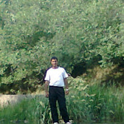  ,   NORO, 37 ,   