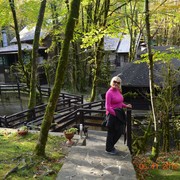 ���������� ����, ���� ������� ��������, 57 ���, ������������ 