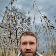 ���������� ������, ���� ������� ���������, 37 ���, ������������ ��� ������, ����� � ���������