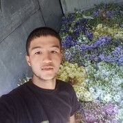 ���������� ������������, ���� ������� ����, 33 ����, ������������ ��� ������, ����� � ���������