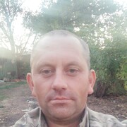  ,   Cobra, 38 ,  