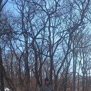 ���������� ����������, ���� ������� ����, 42 ����, ������������ ��� ������, ����� � ���������, c�������� ���������, ���������