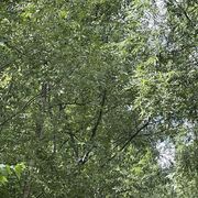 ����������?