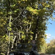 ���������� �����, ���� ������� ����, 46 ���, ������������ ��� ������, ����� � ���������, c�������� ���������