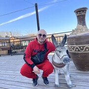 ���������� ������, ���� ������� �������, 36 ���, ������������ ��� ���������