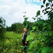 ���������� �����������, ���� ������� �������, 48 ���, ������������ ��� ������, ����� � ���������, c�������� ���������