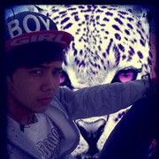  ,   Bek4360323, 31 ,   ,   , c 