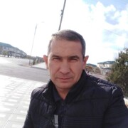  -,   , 41 ,   ,   