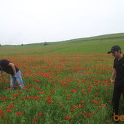 ���������� �������, ���� ������� McFann, 35 ���, ������������ ��� ������, ����� � ���������, c�������� ���������