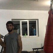  ,   Borz, 24 ,   ,   , 