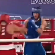 ���������� ������, ���� ����� ���, 24 ����, ������������ ��� ������, ����� � ���������, c�������� ���������, ���������