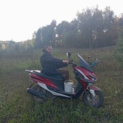 ���������� ���������, ���� ������� �������, 36 ���, ������������ ��� c�������� ���������, ���������