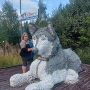 ���������� ������������, ���� ������� ����, 51 ���, ������������ ��� ������, ����� � ���������, c�������� ���������