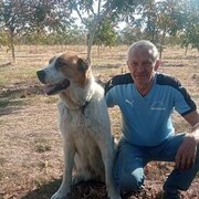  ,   , 72 ,   ,   , c , 