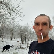  ,  , 41