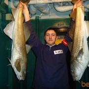 ���������� ���������� �����, ���� ������� ������, 37 ���, ������������ ��� ������