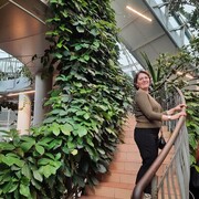 ���������� �����, ���� ������� �������, 43 ����, ������������ ��� ����� � ���������