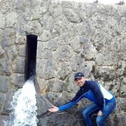 ���������� ������ ���, ���� ������� ����, 43 ����, ������������ ��� ������, ����� � ���������, c�������� ���������