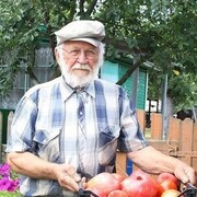  ,   , 81 ,     , c , 