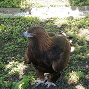 ,   TelegTresLex, 32 ,   ,   , c , 