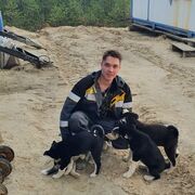 ���������� �����������, ���� ������� Zz, 29 ���, ������������ ��� ������, ����� � ���������