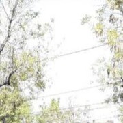 ���������� ���������, ���� ������� ������, 48 ���, ������������ ��� ������, ����� � ���������, c�������� ���������