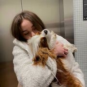 ���������� �������, ���� ������� ������, 23 ����, ������������ ��� ������, ����� � ���������