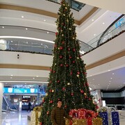 ���������� ������, ���� ����� ��������, 24 ����, ������������ ��� ������, ����� � ���������