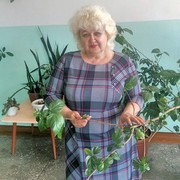  -,   , 62 ,     , c 