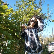 ���������� ������, ���� ������� ��������____, 41 ���, ������������ ��� ������, ����� � ���������, c�������� ���������