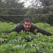  ,  piter, 44