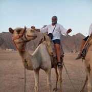 ���������� �������, ���� ������� ������, 46 ���, ������������ ��� ������, ����� � ���������, c�������� ���������