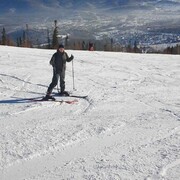 ���������� �����������, ���� ������� ������, 29 ���, ������������ ��� ����� � ���������, c�������� ���������