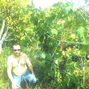 ���������� ���������, ���� ������� �����, 51 ���, ������������ ��� ������, ����� � ���������, c�������� ���������