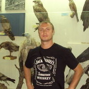 ���������� ����, ���� ������� ������, 48 ���, ������������ ��� ������, ����� � ���������, c�������� ���������