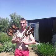 ���������� ��������, ���� ������� ���������, 46 ���, ������������ ��� ������, ����� � ���������, c�������� ���������