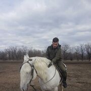 ���������� ���������, ���� ������� �����, 40 ���, ������������ ��� ������, ����� � ���������, c�������� ���������