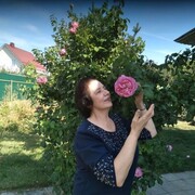 ���������� �������, ���� ������� �������, 74 ����, ������������ ��� ������, ����� � ���������, c�������� ���������