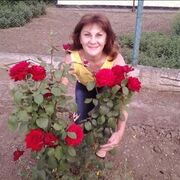 ���������� �����������, ���� ������� ���������, 61 ���, ������������ 