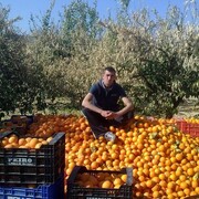 ���������� �����, ���� ������� ��������, 41 ���, ������������ ��� c�������� ���������