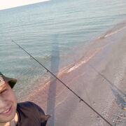 ���������� �������, ���� ������� ���������, 28 ���, ������������ ��� ������, ����� � ���������, ���������