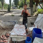  ,   Vova, 25 ,   ,   , c 