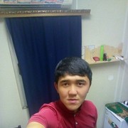 ,   Kanat, 31 ,   