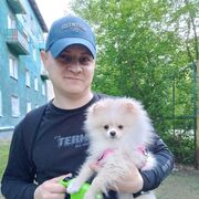 ���������� �����������, ���� ������� ������, 38 ���, ������������ ��� c�������� ���������, ���������