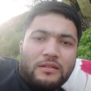  ,   Muzik, 31 ,   ,   