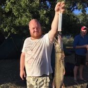 ���������� ������, ���� ������� ������, 40 ���, ������������ ��� ����� � ���������, c�������� ���������