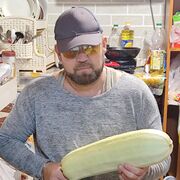 ���������� �����������, ���� ������� �������, 53 ����, ������������ ��� ������, ����� � ���������, c�������� ���������, ���������