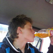 ���������� �����������, ���� ������� �������, 33 ����, ������������ 